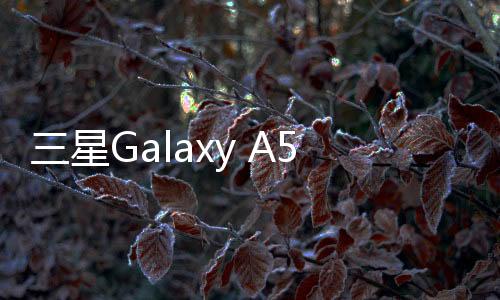 三星Galaxy A5 (A500H)用odin刷機解鎖？線刷寶一鍵刷機解決