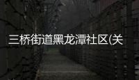 三橋街道黑龍潭社區(關于三橋街道黑龍潭社區簡述)