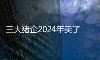 三大豬企2024年賣了一億多頭豬！腌臘需求也難以提振豬價，養殖端加速出欄