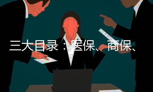 三大目錄：醫保、商保、個人現金