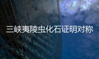 三峽夷陵蟲化石證明對稱動物源自5.5億年前