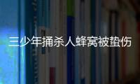 三少年捅殺人蜂窩被蟄傷 懼怕家長責罵躲野外一人死亡