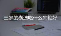 三歲的泰迪吃什么狗糧好？3歲泰迪吃什么