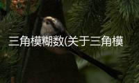 三角模糊數(shù)(關(guān)于三角模糊數(shù)簡(jiǎn)述)