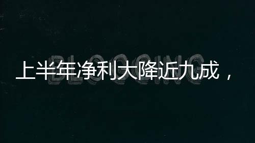 上半年凈利大降近九成， “面板一哥”何時走出“陰影”？