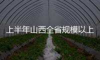 上半年山西全省規模以上工業生產運行情況