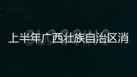 上半年廣西壯族自治區(qū)消費(fèi)升級勢頭明顯