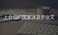 上合組織國家涉及農(nóng)業(yè)文明工業(yè)文明與數(shù)字信息文明等不同社會形態(tài)