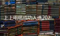 上上電纜成功入選2022中國民營企業500強、民營企業制造業500強榜單