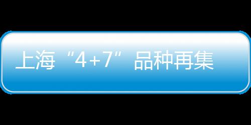 上海“4+7”品種再集采 齊魯、京新等企業中標