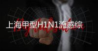 上海甲型H1N1流感綜合保險推薦