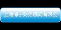 上海博寧財務顧問有限公司(關于上海博寧財務顧問有限公司簡述)