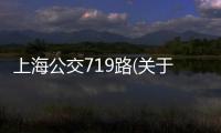 上海公交719路(關于上海公交719路簡述)