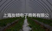 上海友傾電子商務有限公司(關于上海友傾電子商務有限公司簡述)