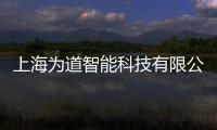 上海為道智能科技有限公司(關(guān)于上海為道智能科技有限公司簡(jiǎn)述)