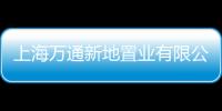 上海萬通新地置業有限公司(關于上海萬通新地置業有限公司簡述)