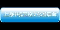 上海中視云投文化發展有限公司(關于上海中視云投文化發展有限公司簡述)