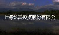 上海戈富投資股份有限公司(關于上海戈富投資股份有限公司簡述)