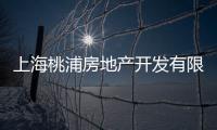 上海桃浦房地產開發有限公司(關于上海桃浦房地產開發有限公司簡述)