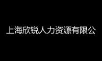 上海欣銳人力資源有限公司(關于上海欣銳人力資源有限公司簡述)