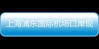 上海浦東國際機場口岸現進博會參展觀展外籍人員入境高峰