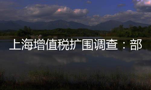 上海增值稅擴圍調(diào)查：部分物流企業(yè)稅負增兩倍