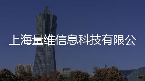 上海量維信息科技有限公司(關于上海量維信息科技有限公司簡述)