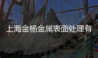 上海金楊金屬表面處理有限公司(關于上海金楊金屬表面處理有限公司簡述)