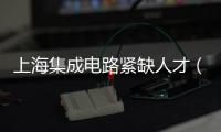 上海集成電路緊缺人才（臨港）產教基地正式成立