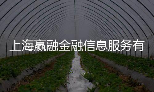 上海贏融金融信息服務有限公司(關于上海贏融金融信息服務有限公司簡述)