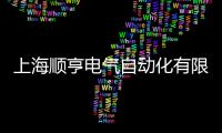 上海順亨電氣自動化有限公司(關于上海順亨電氣自動化有限公司簡述)