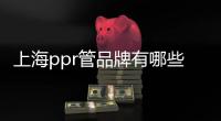 上海ppr管品牌有哪些（上海ppr管）