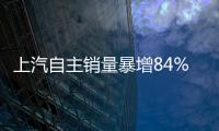 上汽自主銷量暴增84% 榮威RX5大獲成功