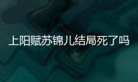 上陽賦蘇錦兒結局死了嗎？蘇錦兒喜歡的是誰