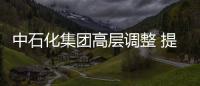 中石化集團高層調整 提升兩副總主管勘探和銷售