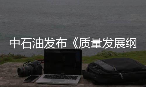 中石油發(fā)布《質(zhì)量發(fā)展綱要實施方案》