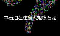 中石油在建最大規模石腦油加氫裝置試投產成功