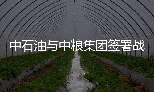 中石油與中糧集團簽署戰略合作協議