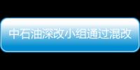 中石油深改小組通過混改指導意見 王宜林：盡快下發落實