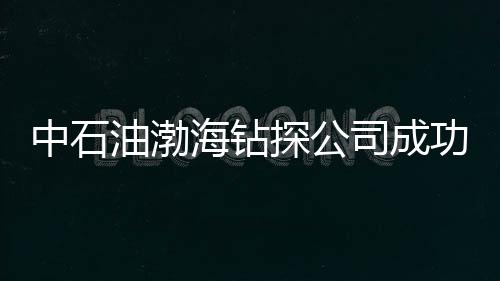 中石油渤海鉆探公司成功采用分段壓裂新技術