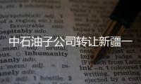 中石油子公司轉讓新疆一石化設備公司四成股權