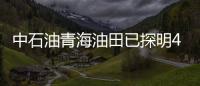 中石油青海油田已探明4個億噸級油氣田