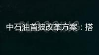 中石油首披改革方案：搭六大平臺推進混合所有制