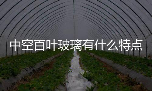 中空百葉玻璃有什么特點  雙玻璃百葉隔斷有何特征,行業資訊