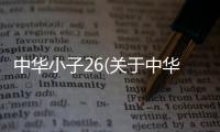 中華小子26(關于中華小子26簡述)