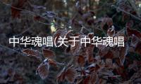 中華魂唱(關(guān)于中華魂唱簡(jiǎn)述)