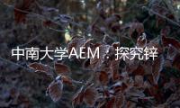 中南大學(xué)AEM：探究鋅離子在釩酸鈉中的能量存儲機(jī)理 – 材料牛