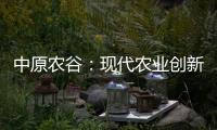 中原農谷：現代農業創新高地起勢見效丨構建創新大格局（四）
