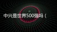 中興是世界500強(qiáng)嗎（中興是國企嗎）