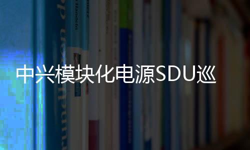 中興模塊化電源SDU巡檢指導